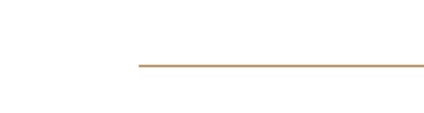 BlackSwan Elements